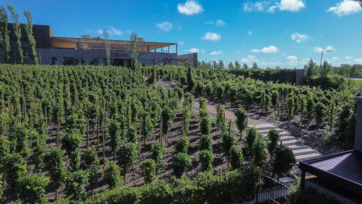 Ubicación Estancia Vigil